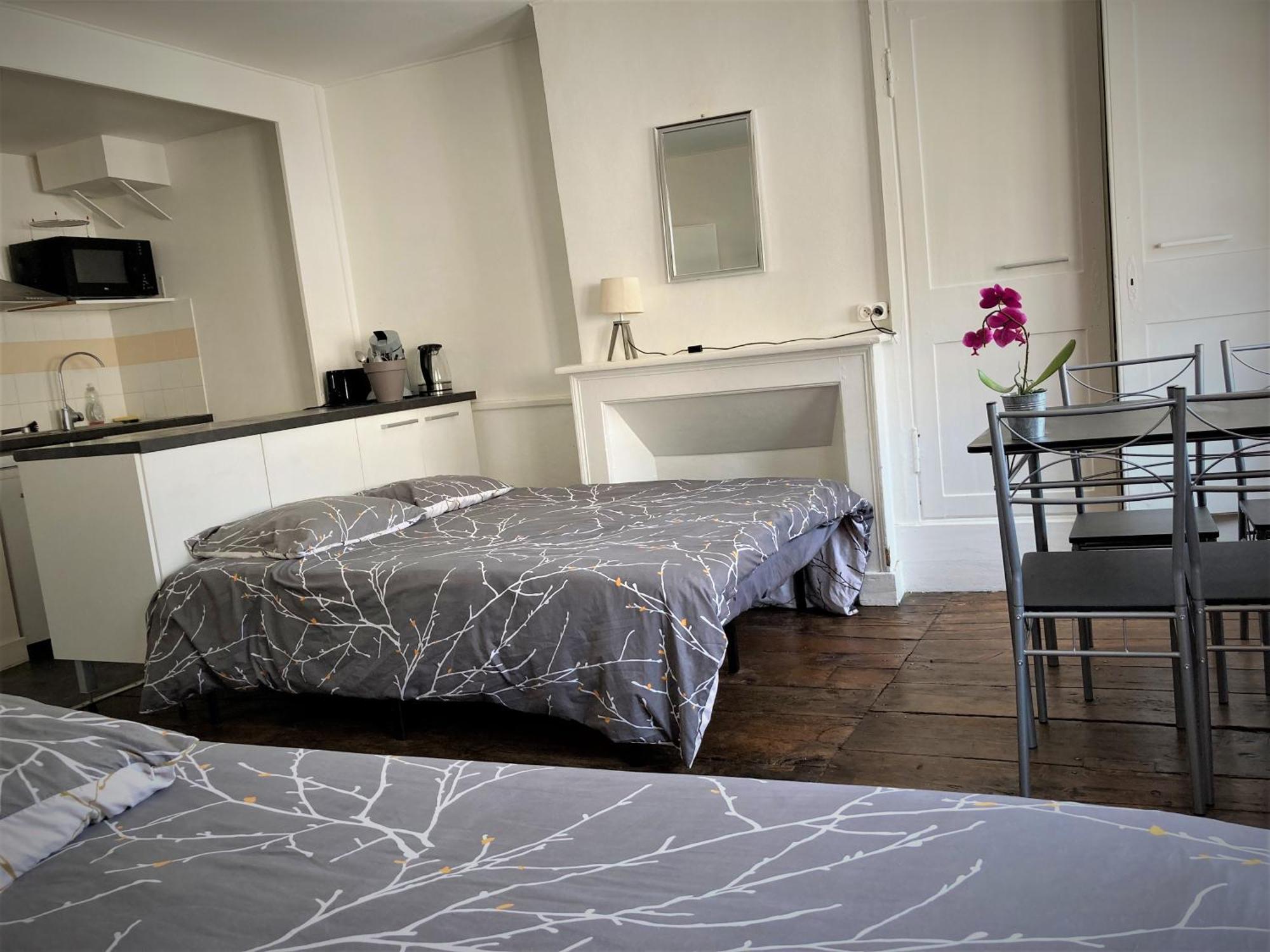 Studio Double 31 Centre De Limoges Wifi Esterno foto