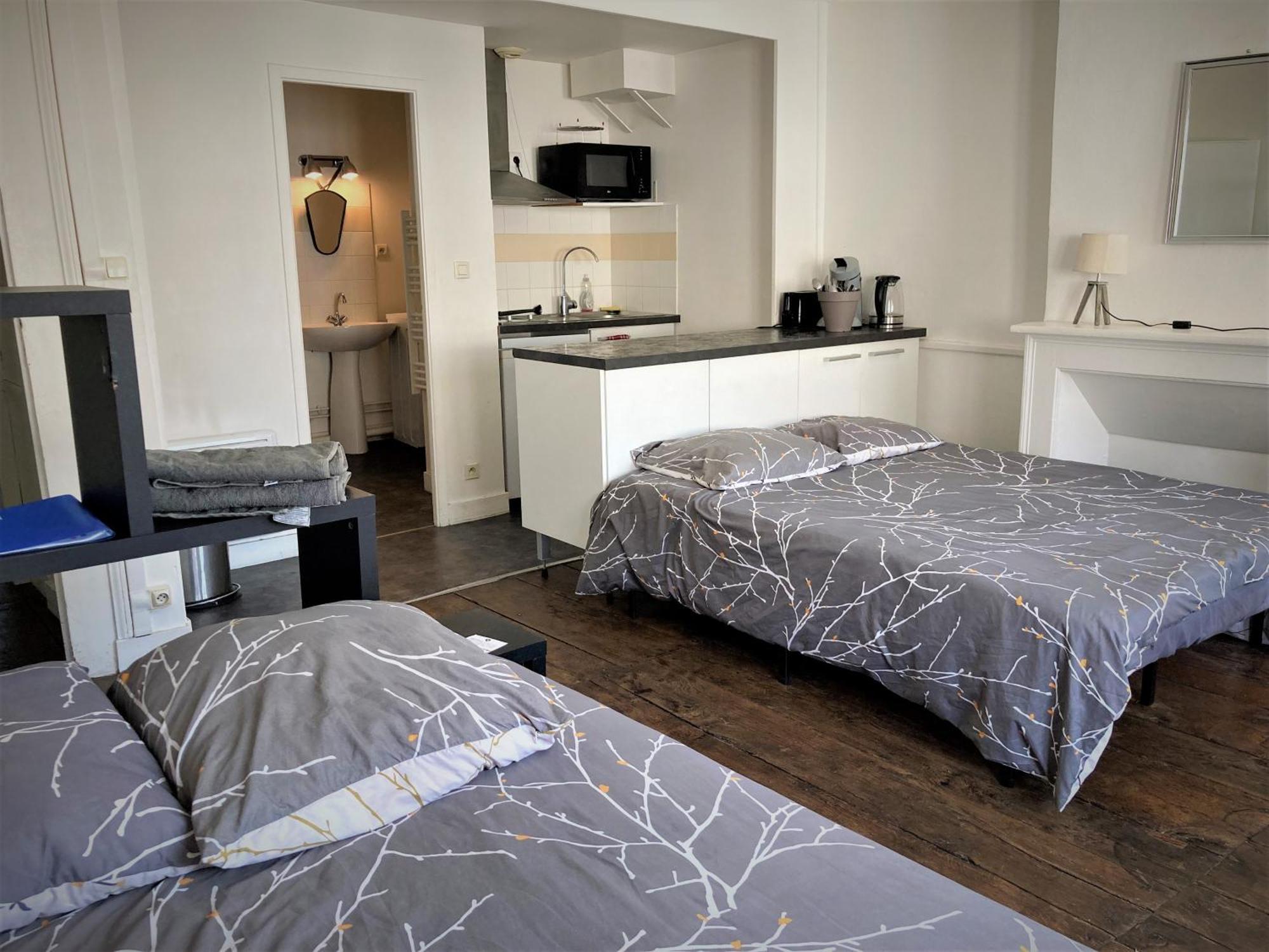 Studio Double 31 Centre De Limoges Wifi Esterno foto